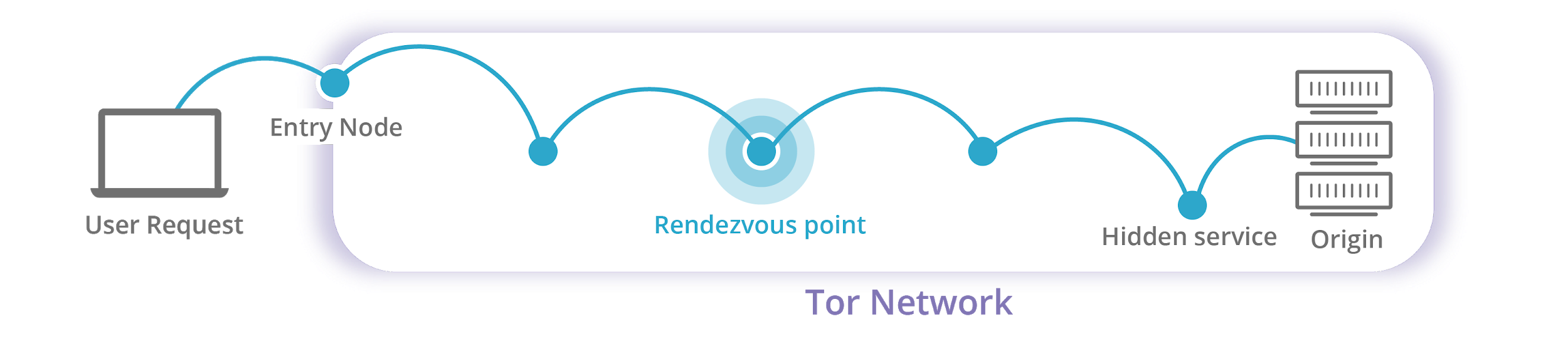 Introducing DNS Resolver for Tor