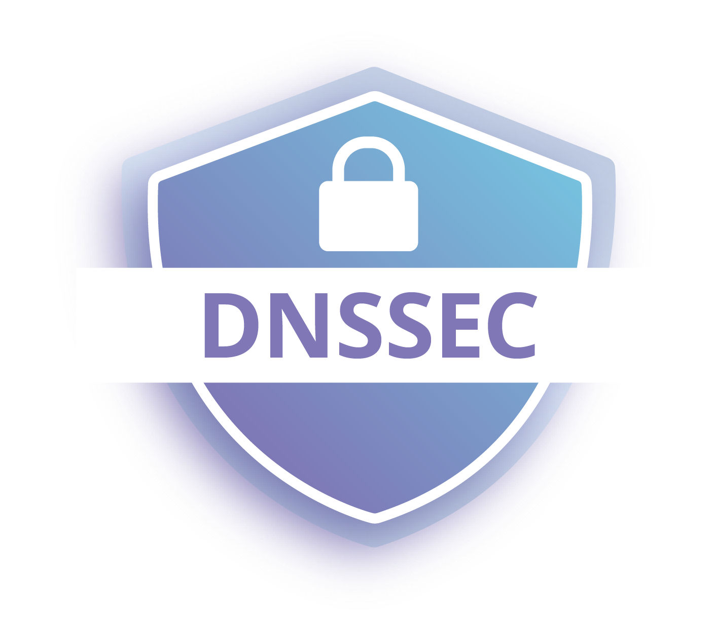 DNSSEC что это. DNS Security Extensions. DNSSEC В пакете. DNSSEC ru. Dnssec