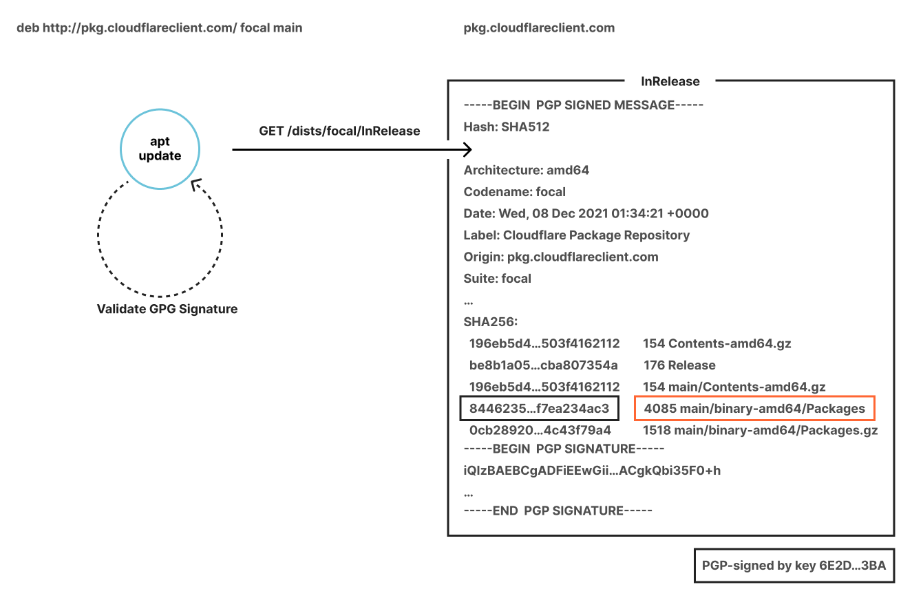 Graphical diagram of Cloudflare Client repository update. Alt text description: "apt update" gets /dists/focal/InRelease. The contents of InRelease are shown: a list of SHA256 sums for files such as Contents-amd64.gz and Packages.gz, followed by a GPG signature.