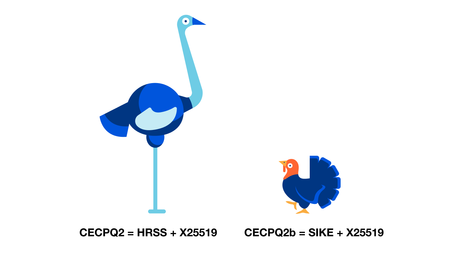 Drawing of an ostrich, a large, but very fast running bird, to depict the CECPQ2 (HRSS+X25519) experiment, and a drawing of a turkey (a smaller, slower bird) to depict the CECPQ2b (SIKE+X25519) experiment.