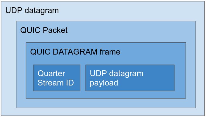 A UDP datagram, containing a QUIC packet, which contains a DATAGRAM frame.