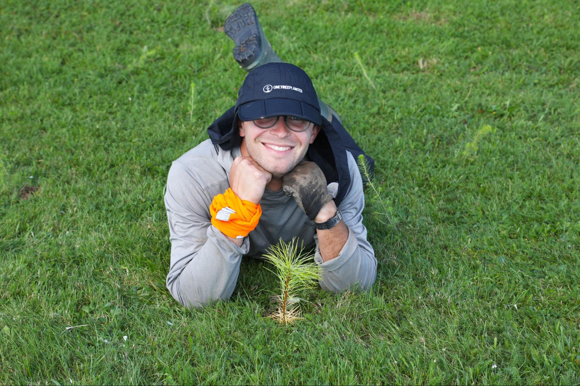 One of the 35,000 newly planted trees in Nova Scotia.