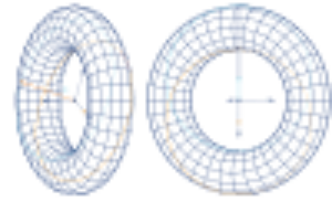 a toroid, in the same SVG we used before but with a 300px width attribute