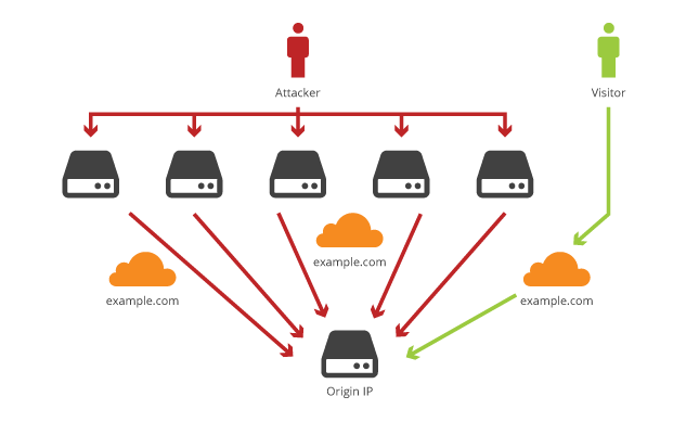 ip ddos website